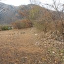 김삿갓면-41 이미지