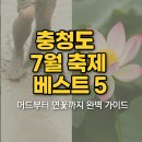 머드공주펜션 | 충청도 7월 축제 베스트 5 - 머드부터 연꽃까지 완벽 가이드