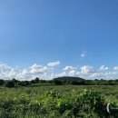 과수원집 소원재 이미지