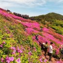 백양산 애진봉 이미지