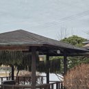 쌍둥이네식당 | 평창 봉평 고소한 나물과 함께 먹는 곤드레밥 맛집, 쌍둥이네가벼슬식당