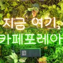 카페 포레아티 이미지