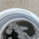 바다랑 포도펜션 이미지