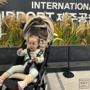 도로변(구로동로 179) | 제주도 산양큰엉곶 아이와 함께 가볼만한곳 방문 후기