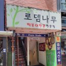 로뎀나무 이미지