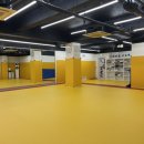 파이널유도짐 이미지