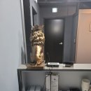미래장 | 안동카드단말기 저렴하게 설치 관리 해드렸어요