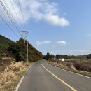 신전마을회관 | [제주대 학점교류 후기] ep 4. 제주도는 자동차가 필수🚗💨