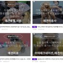 링크애견샵 이미지