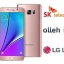 클린플러스 이미지