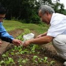 개미농장 이미지