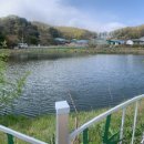 꿀참나무숲 유치원 이미지