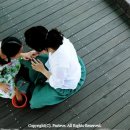 달빛에 물들이고 이미지