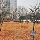 백석어린이공원 이미지