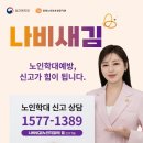 노인인권보호 및 학대예방 이미지