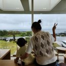 카페바다 | 제주 김녕 카페 델문도 후기｜아이랑도 편한 바다 앞 감성 카페