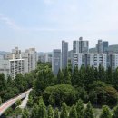 양지-3569 이미지