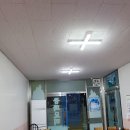 수정반점 이미지