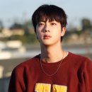 방탄 진, 한남더힐 175억 전액 현금 매입 이미지