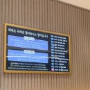 신월동102 | 신월 달인대보칼국수, 신월동 칼국수 맛집 내돈내산 후기