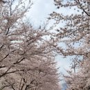 (주)해운대컨트리클럽 이미지