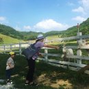 상우목장 이미지