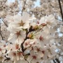 승리세탁 이미지
