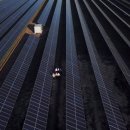 진보태양광발전소 이미지