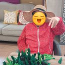그레이스요양원