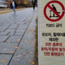 개인화물2052 | 전동킥보드 범칙금 6개월…면허·안전모 없는 ‘킥라니’ 여전