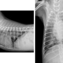 남창미르동물병원 이미지