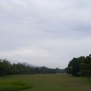 [인도네시아] 방카라는 시골오지 골프장 (Bukit Intan golf club) 이미지