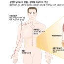 양전 이미지