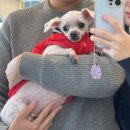 뽀삐샵(BBOBBI SHOP) | 부산 경성대 부경대 내돈내산 애견동반 카페 포비베이크샵
