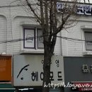인생노래연습장 이미지