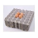 조선일보 보급소 이미지