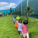 꿈나래어린이집[아이행복] 이미지