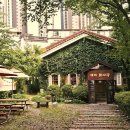 청춘-숲속의 섬,  이미지