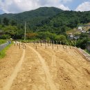 경기도 양평군 정배초등학교 이미지