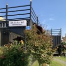 하나로마트 맞은편 이미지