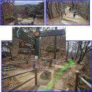 용마도시자연공원 | 자연과 도시 - 용마산 이쪽으로는 처음 [안전산행 234]251209, 나나영초, 산쓰3줍