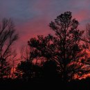 카페브런치 만들기 이미지