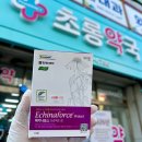 초롱약국 이미지