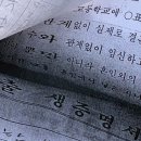 플레이독 남양주점 | 1 aprile 2026 | 일하는 중에 갑자기 몸이 안 좋아졌어요