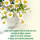 23년 5월 스마트폰 바탕화면 말씀달력 이미지