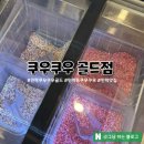 의정부농업협동조합송양하나로마트 | 민락동 맛집 쿠우쿠우 골드 : 리뉴얼 오픈 웨이팅 및 주차 꿀팁
