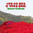 섬진강변 철쭉길 이미지