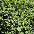 논일농장 이미지