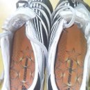 엡솔루트 이미지