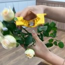 슬기로운 취미생활_플라워 원데이 클래스/ 참플레르 후기